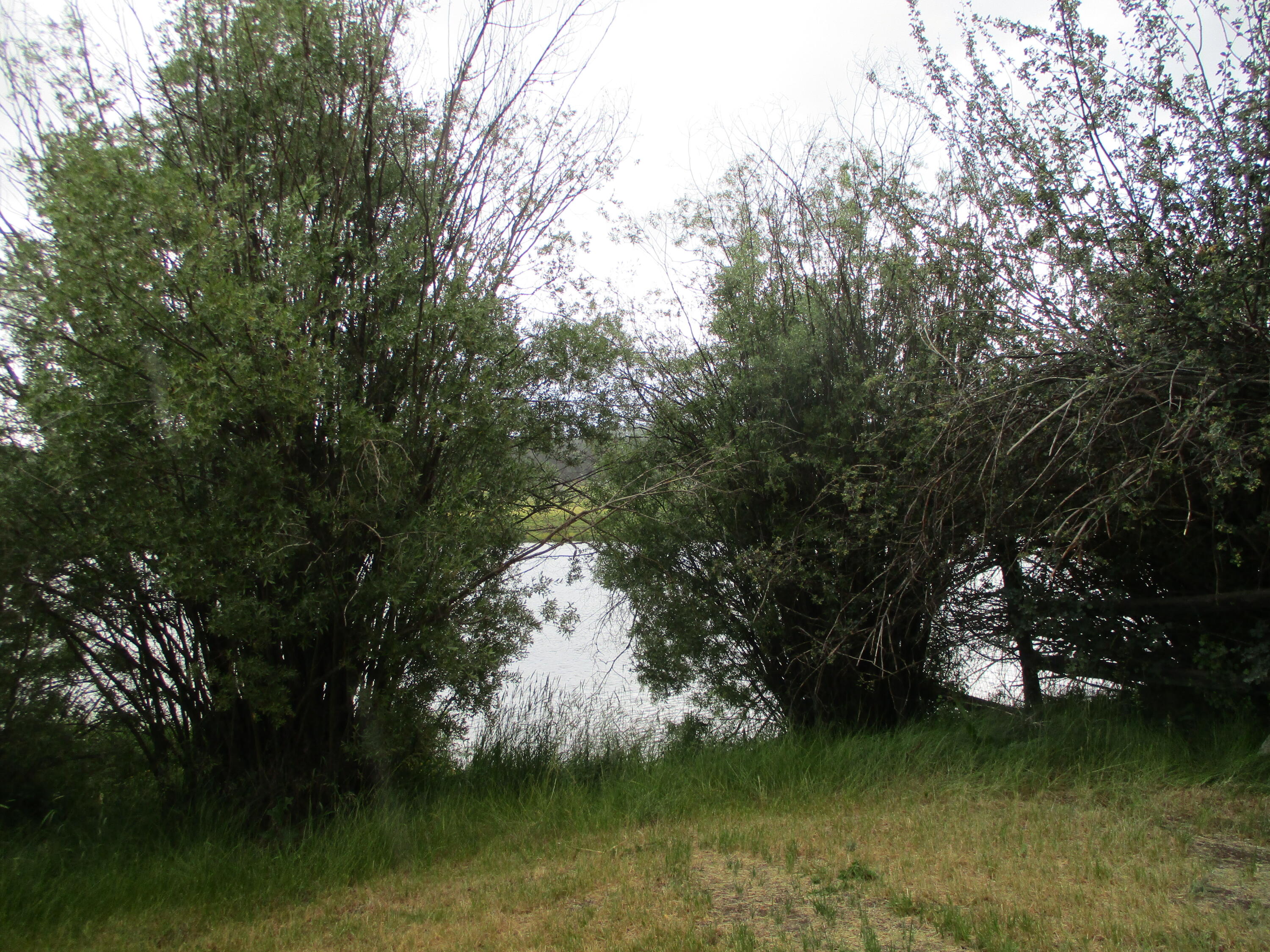Rainbow Park On The Williamson - Residential