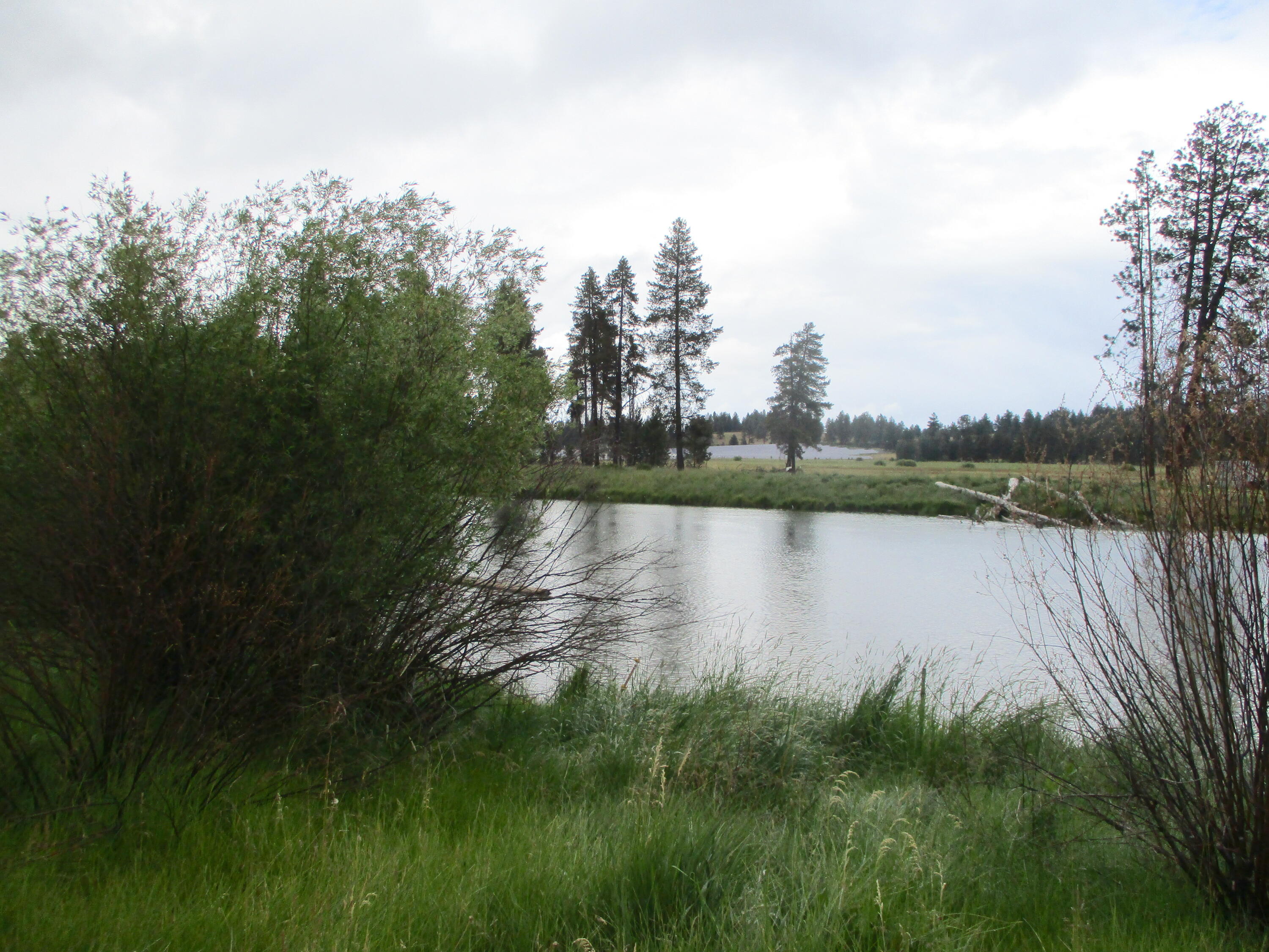 Rainbow Park On The Williamson - Residential