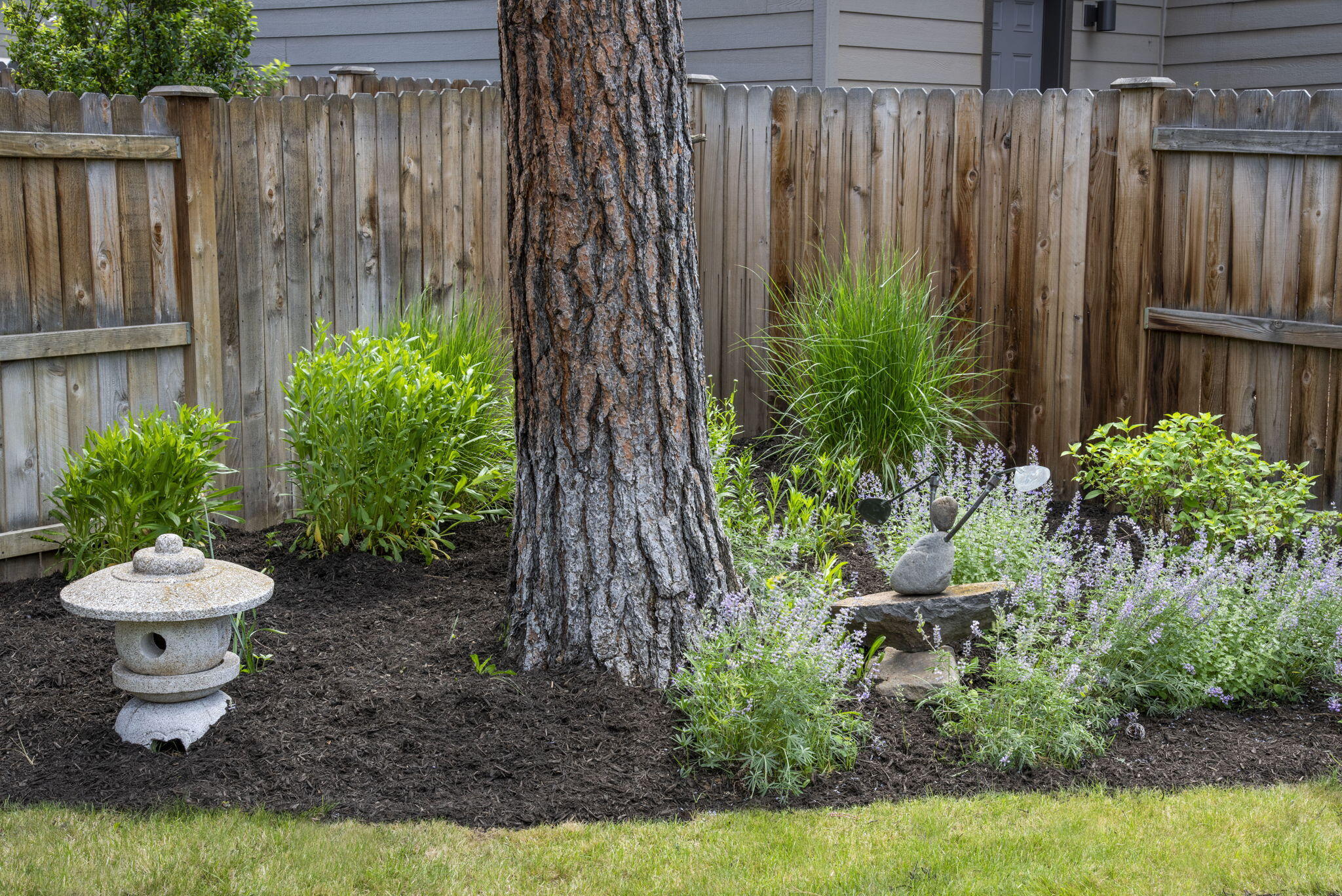 Village@Cold Springs - Residential