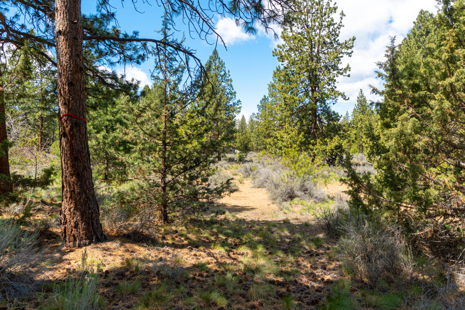 River Bend Estate - Residential