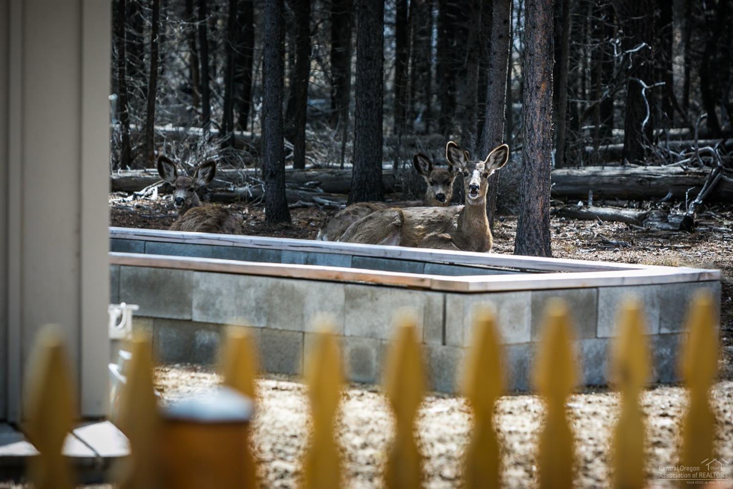 Sun Forest Estates - Residential