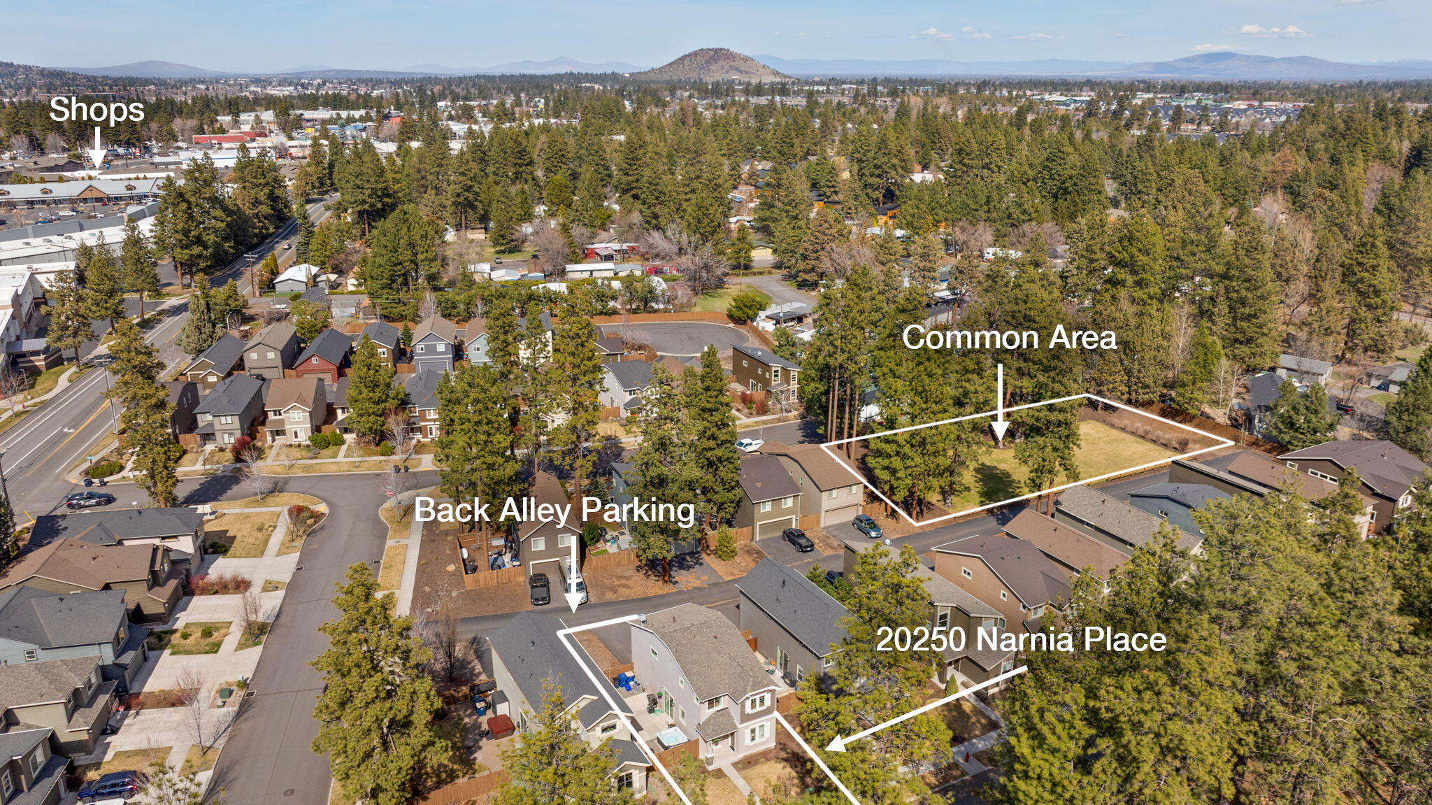 Badger Forest - Residential