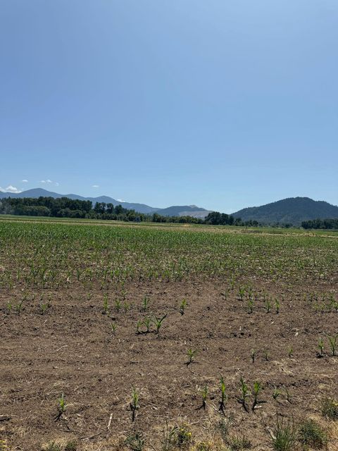 Tiny photo for 6181 Lower River Road, Grants Pass, OR 97526 (MLS # 220215523)