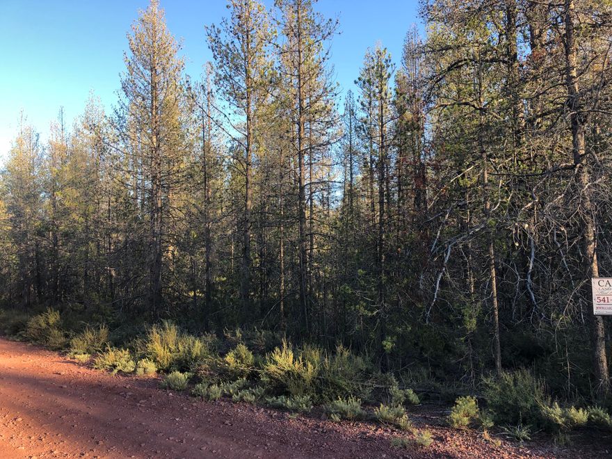 Nice large parcel in rear left of cul d sac
Great roads, super views, numerous pine trees
Area og OHV, ATV and side by side riding.