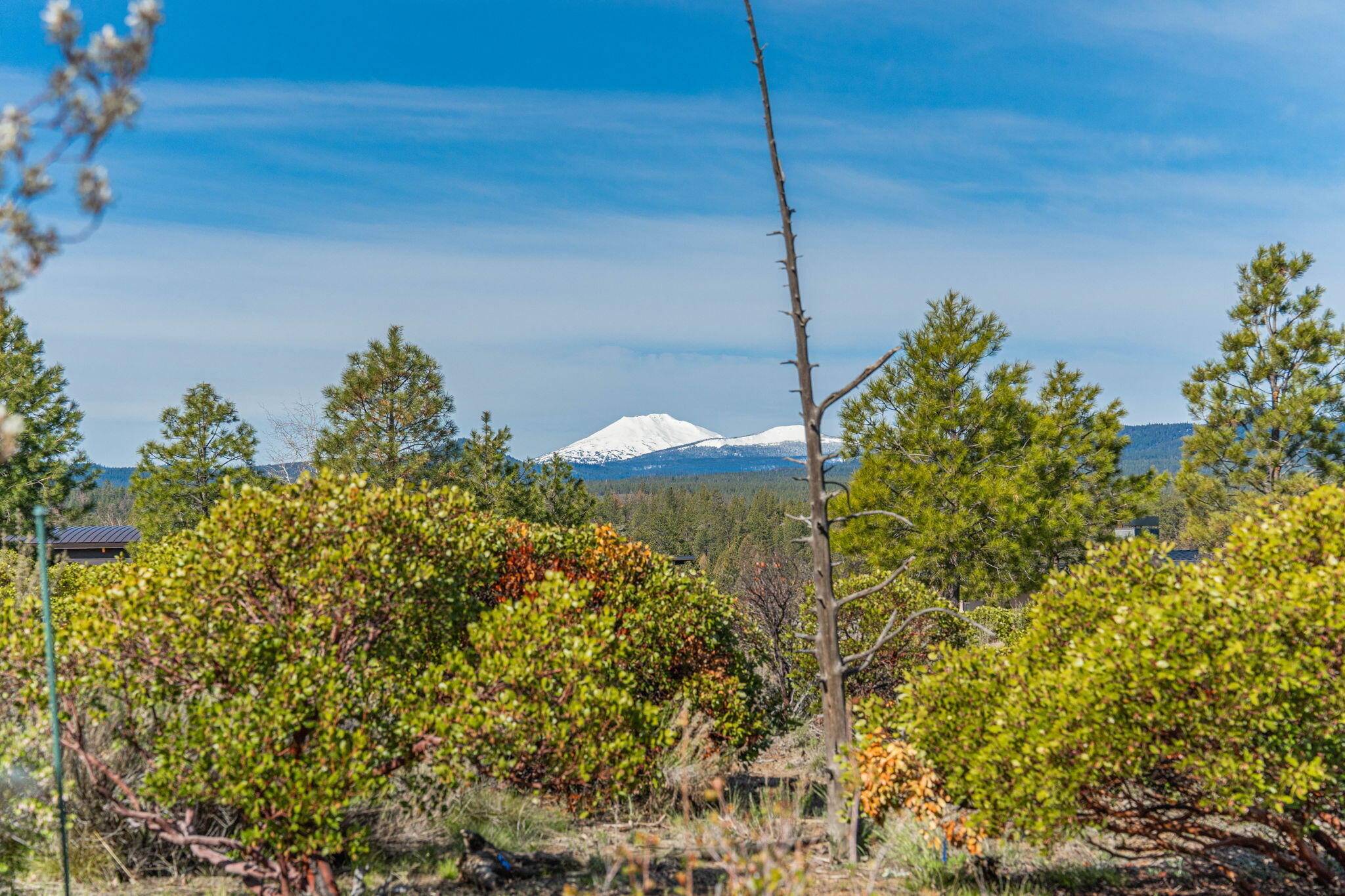 Shevlin Commons - Residential