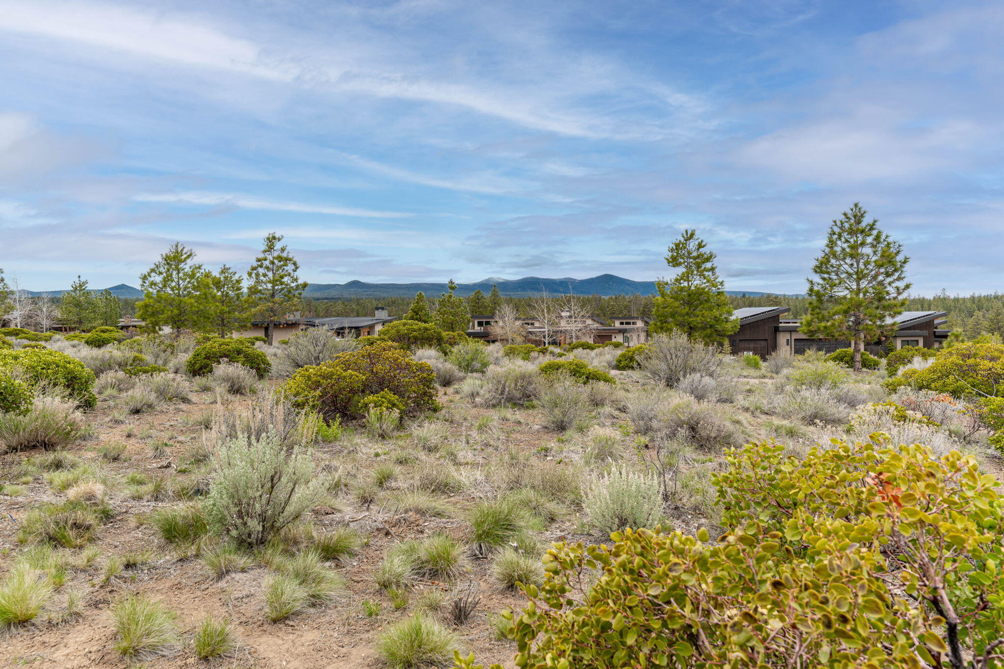 Shevlin Commons - Residential