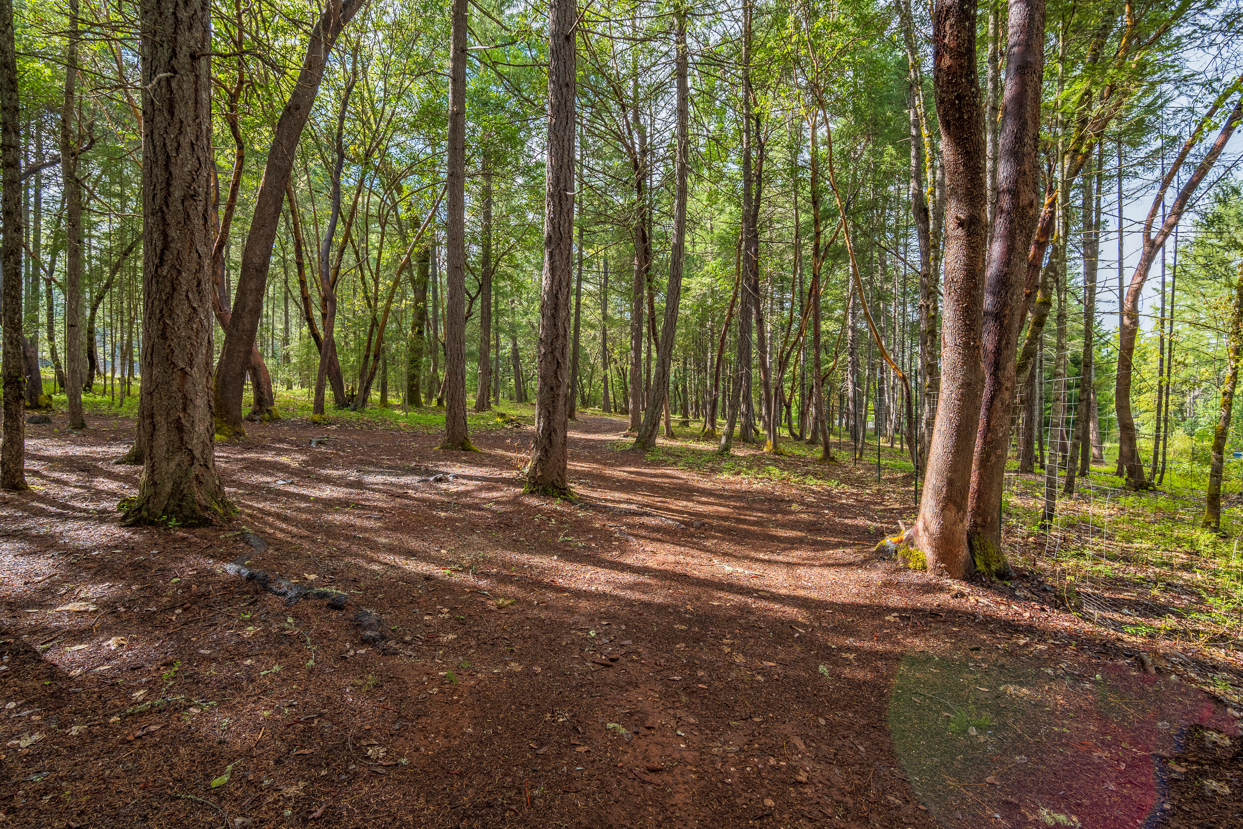 Whitestone Subdivision - Residential