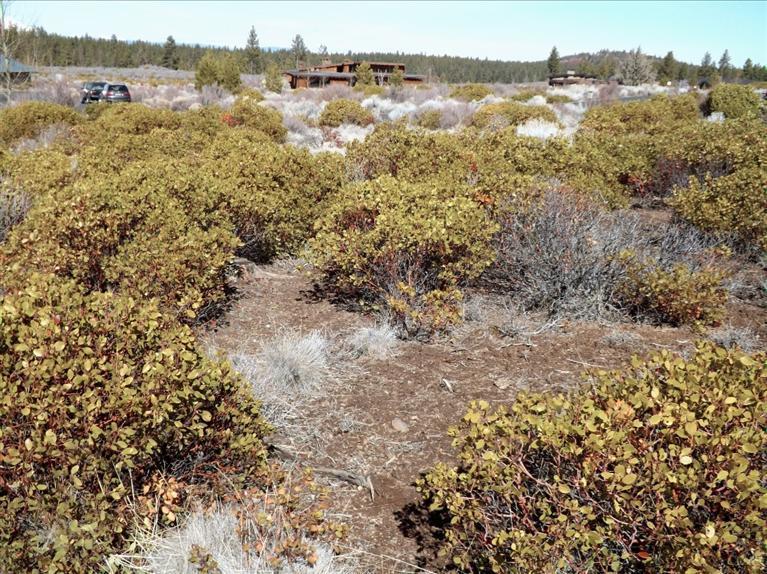 Shevlin Commons - Land