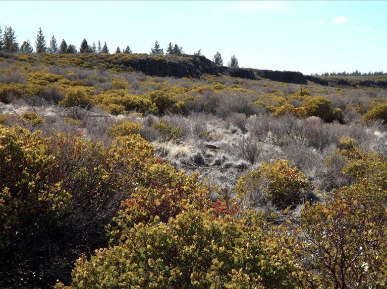 Shevlin Commons - Land