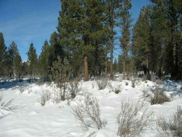 Sprague River - Land