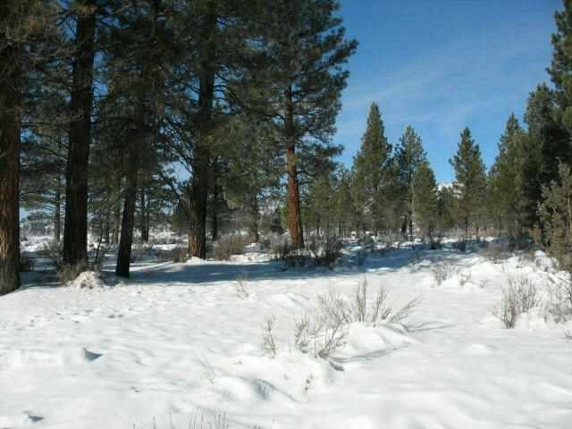 Sprague River - Land