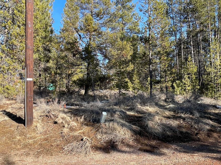 Nice 1.37 acre lot, near golf course and river. Easy location with many options.