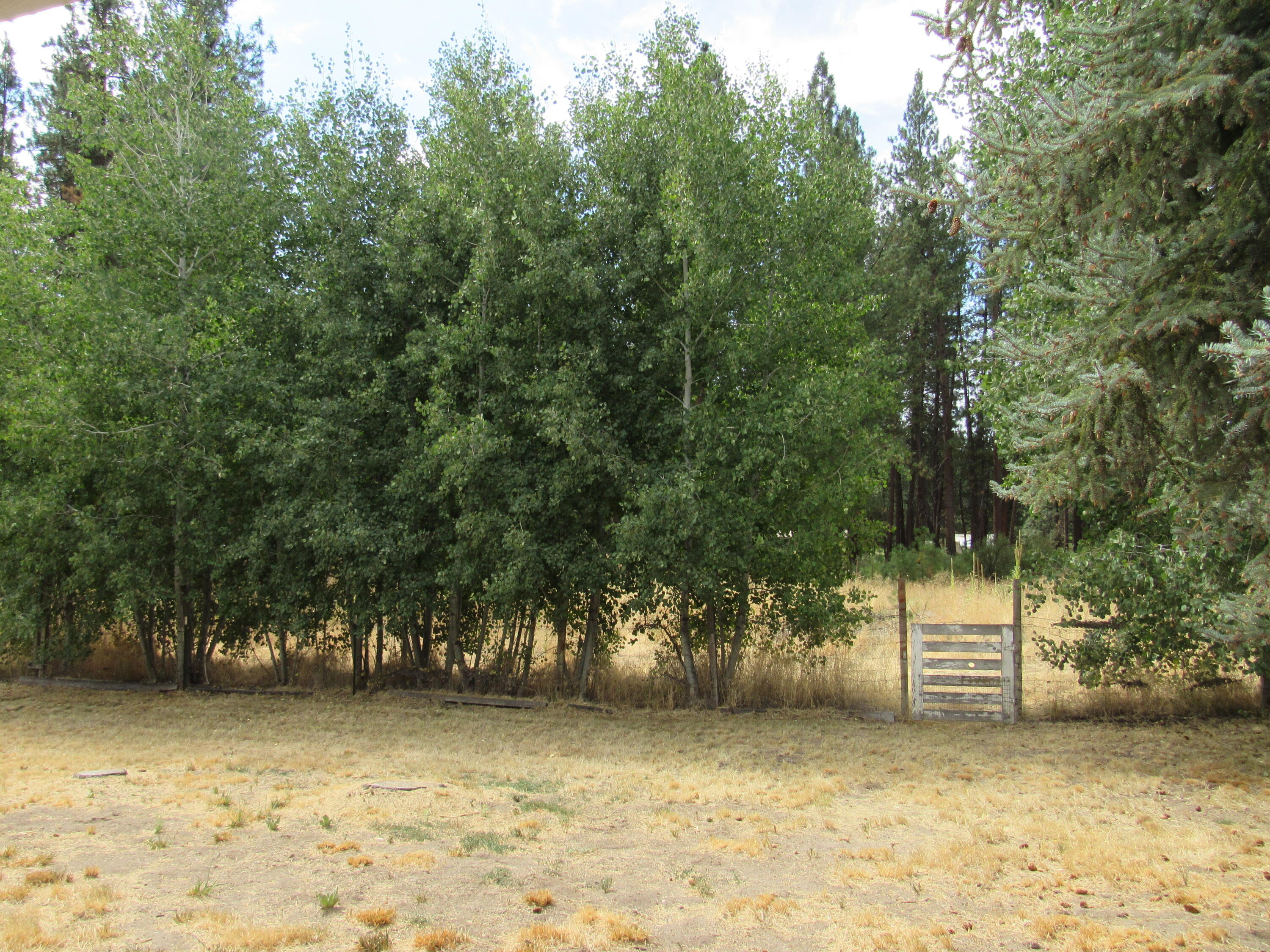 Winema Peninsula - Residential