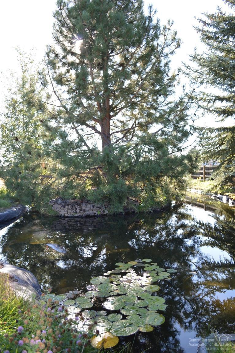 Daly Estates - Residential