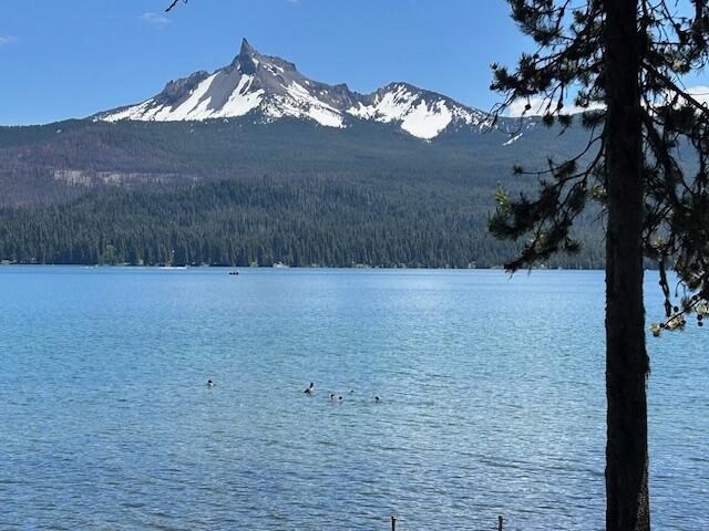 80 Diamond Lake Loop