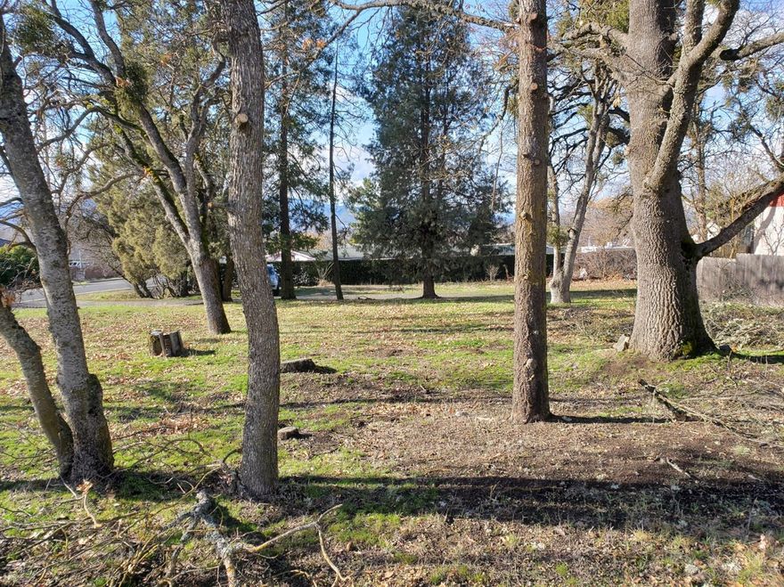 Value is in the land.Looking for a small project build up to 4 homes on this SFR-4 Zoning. Call listing agent for details. Two homes on property Medford Fire Dept. is interested in doing a controlled burn for training purposes.