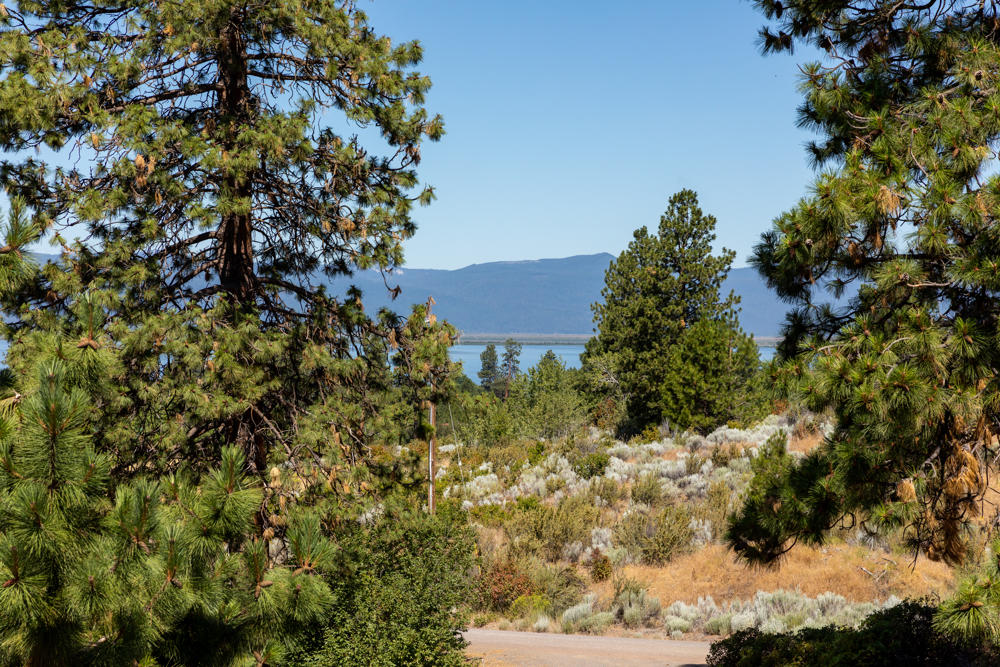 Monte Vista Ranch - Residential