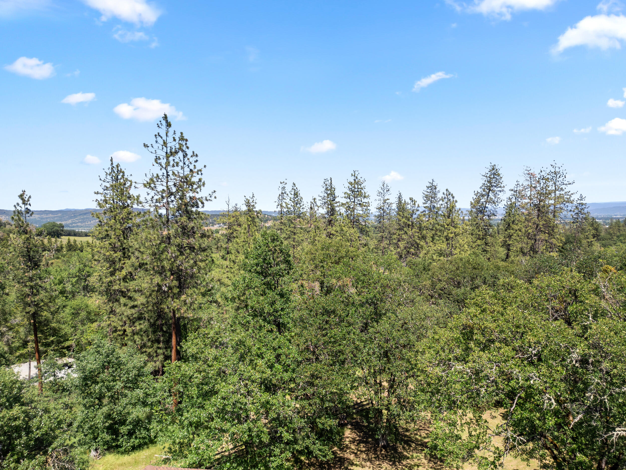 Rogue River Drive Estates - Residential