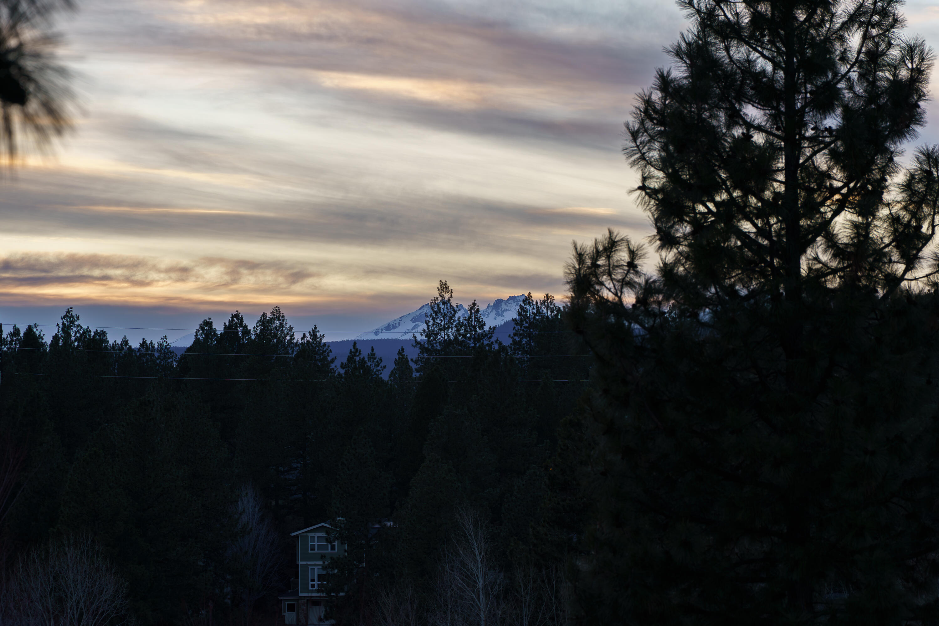 Shevlin Court - Residential