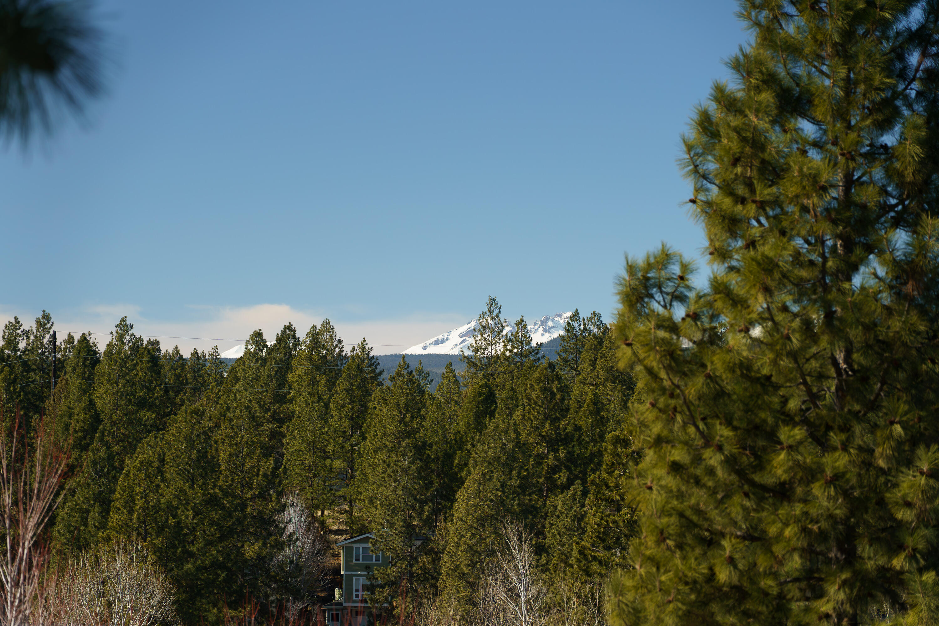 Shevlin Court - Residential