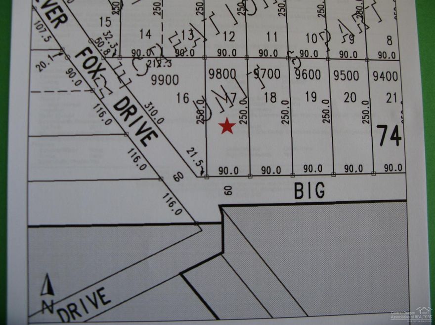 Huge 1/2+ acre lot located near the Big Deschutes River. Priced to sell!! Gorgeous lot!! Buyer to check with the County to explore all options for the property. Selling as a group with MLS#'s 201810334 & 201810336 for a package price of $40,000 for all 3.