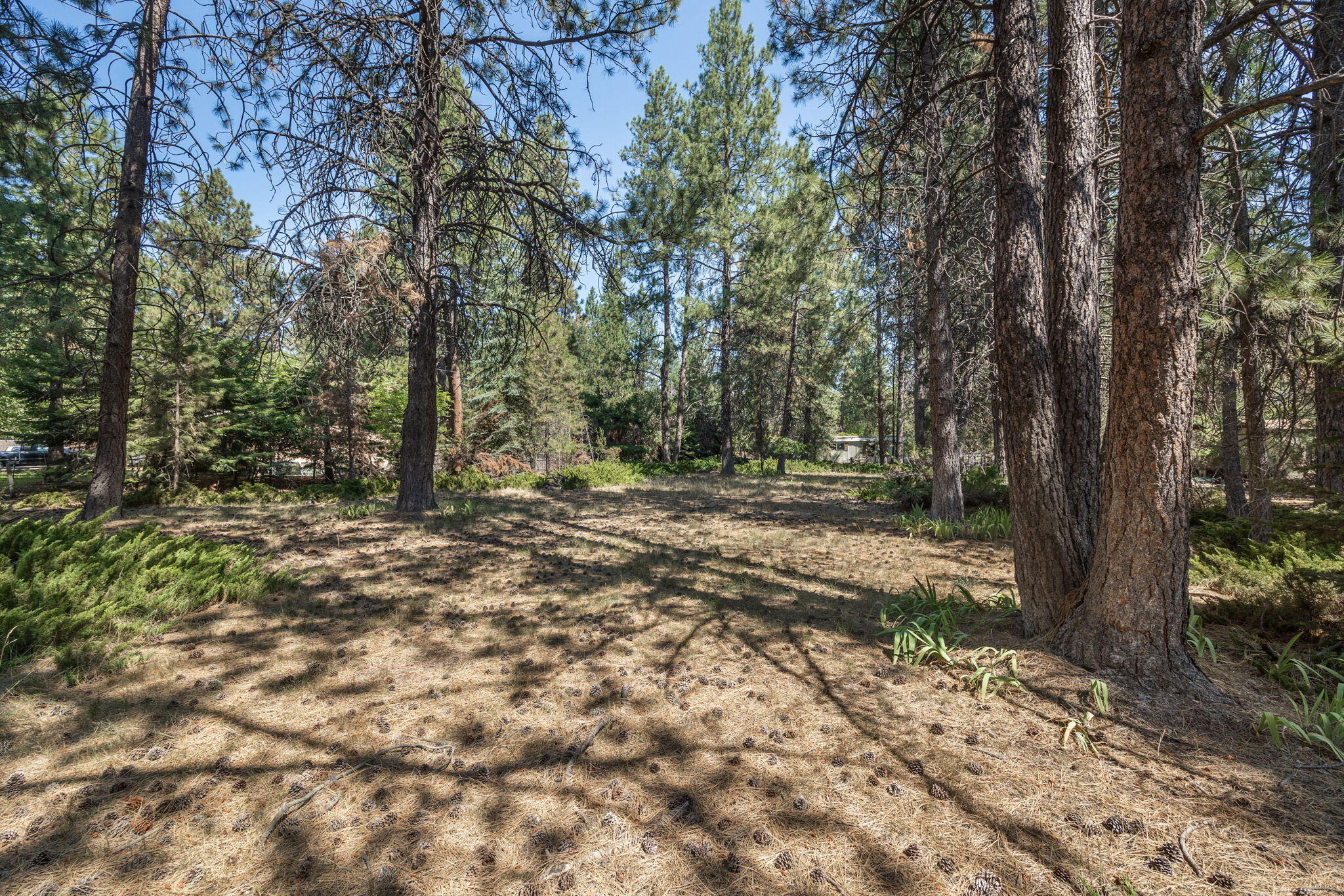 Deschutes RiverWoods - Residential