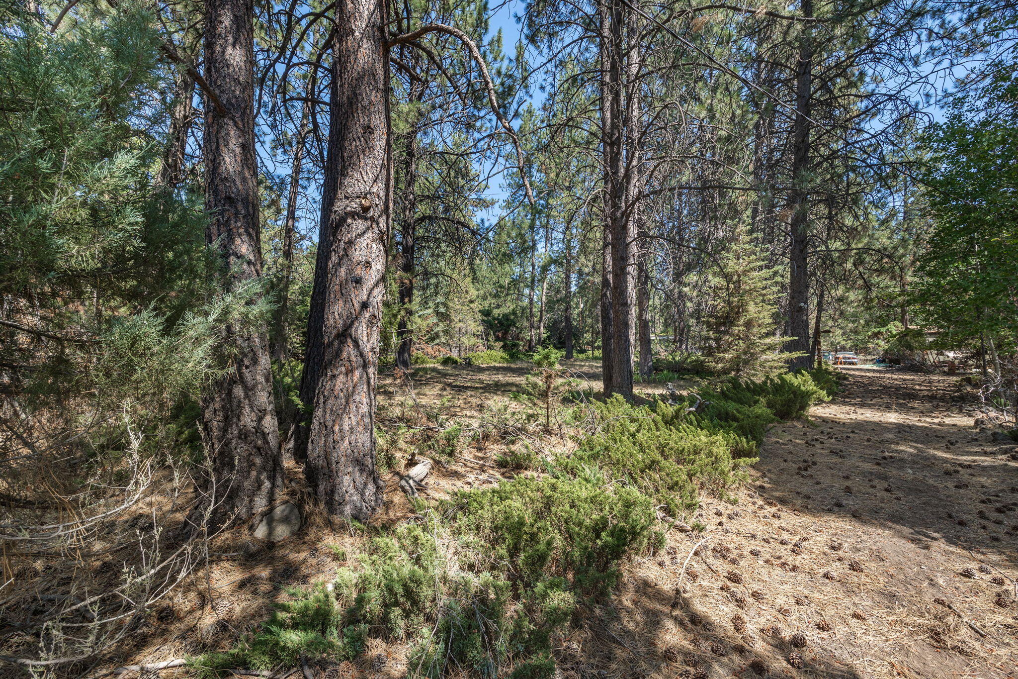 Deschutes RiverWoods - Residential