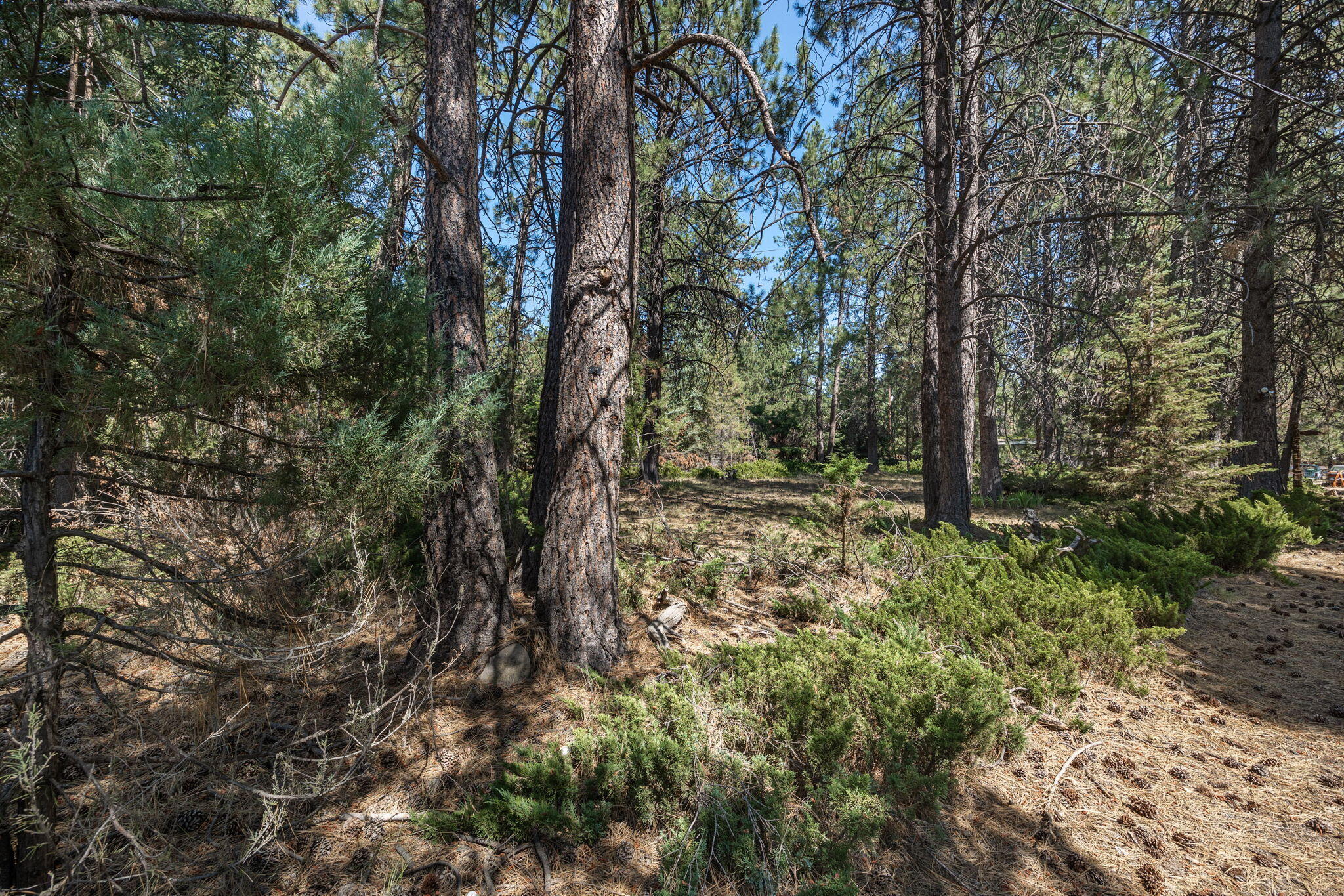 Deschutes RiverWoods - Residential
