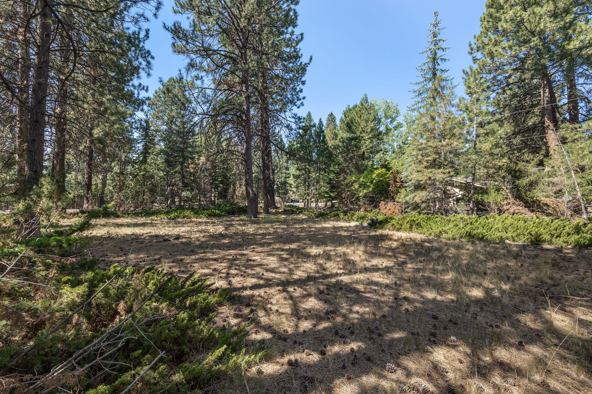 Deschutes RiverWoods - Residential