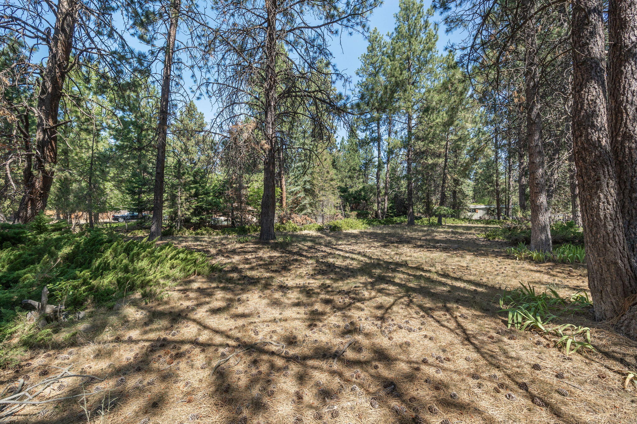 Deschutes RiverWoods - Residential