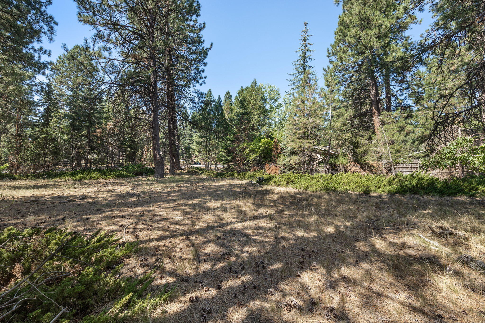 Deschutes RiverWoods - Residential