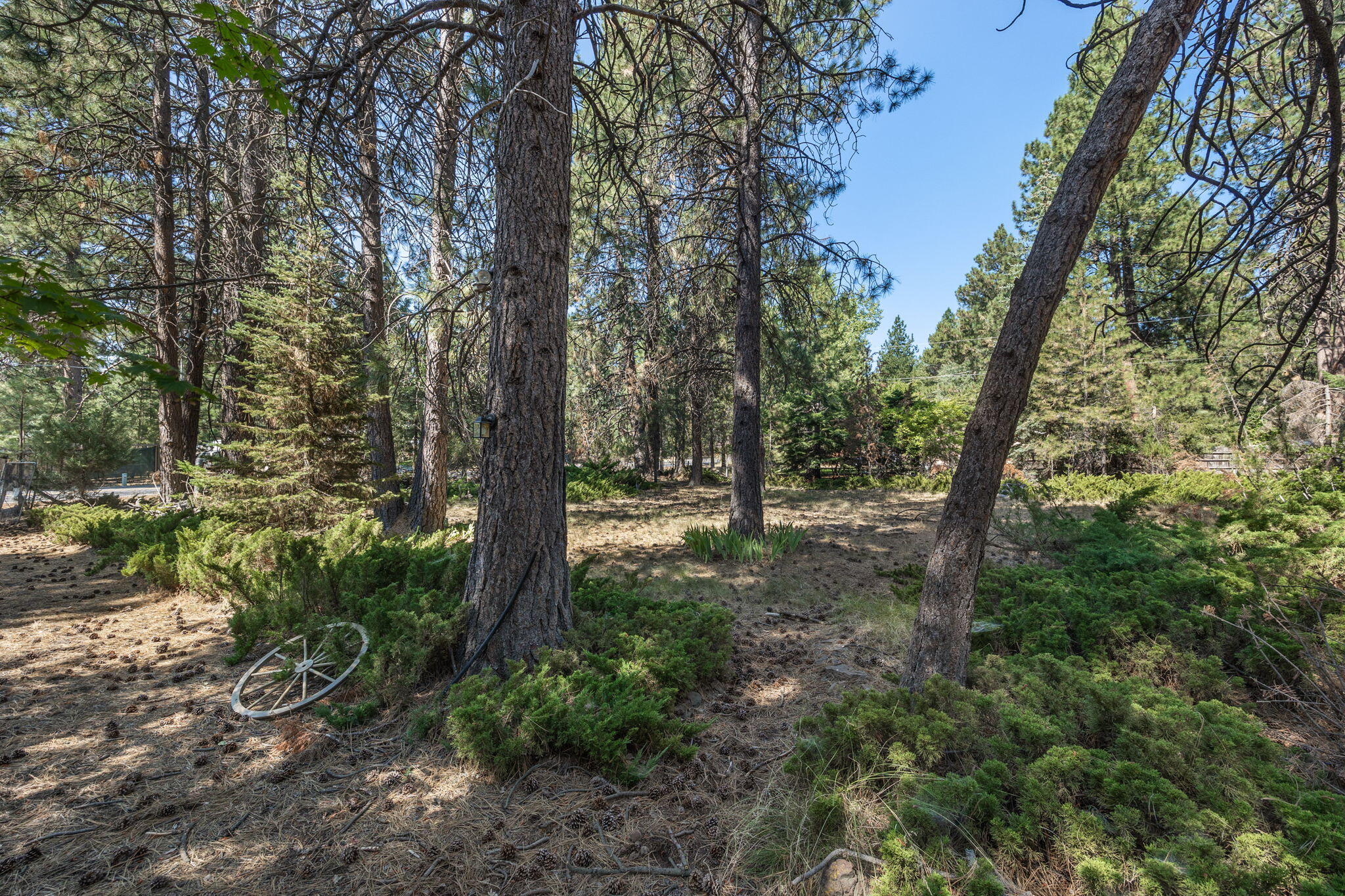 Deschutes RiverWoods - Residential