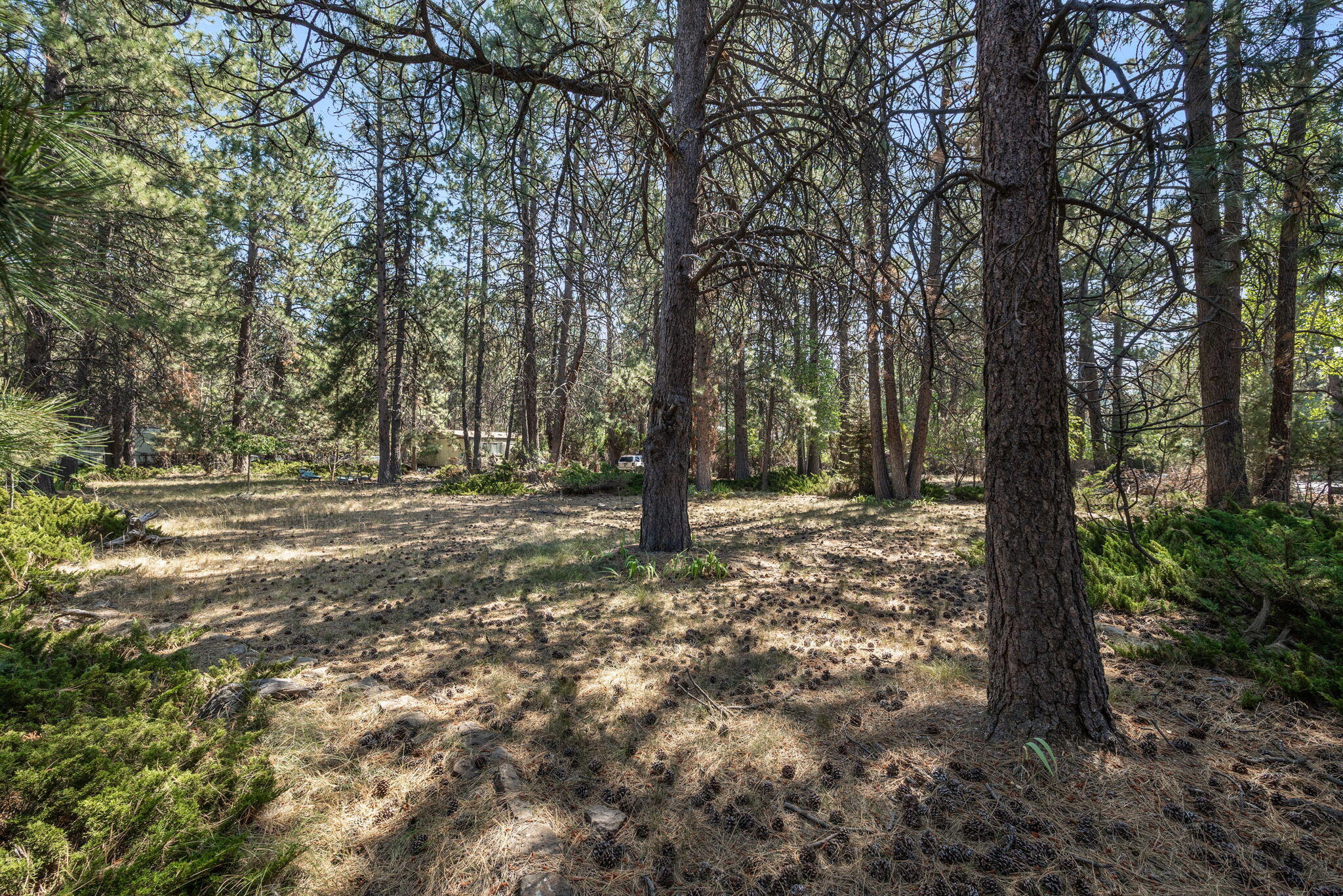 Deschutes RiverWoods - Residential