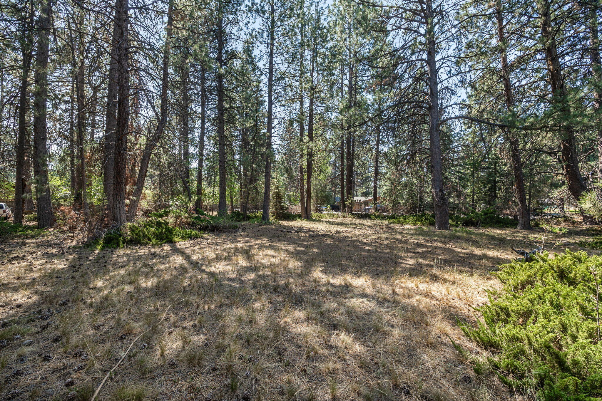 Deschutes RiverWoods - Residential