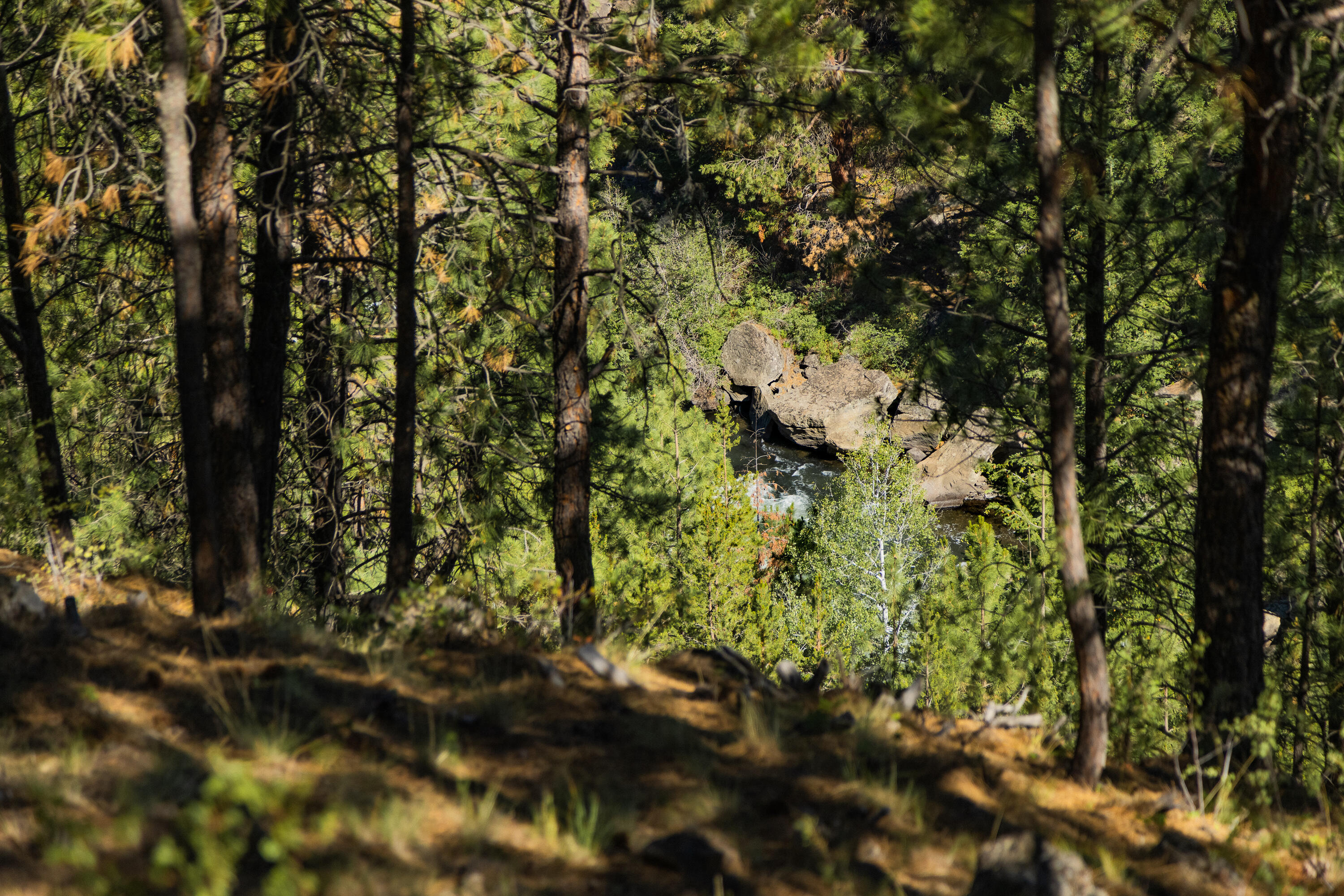 River Canyon Estates - Residential