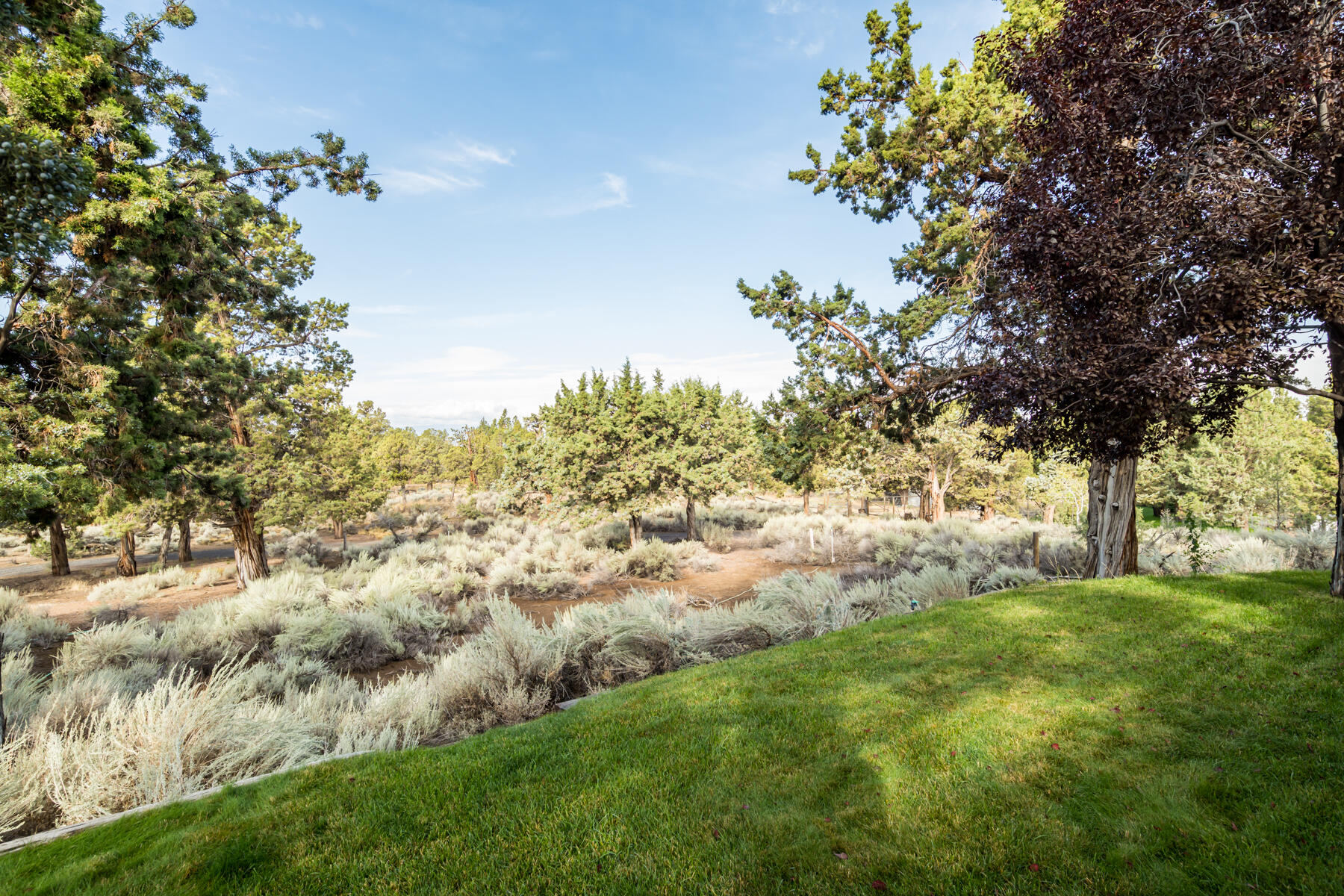 Boonesborough - Residential