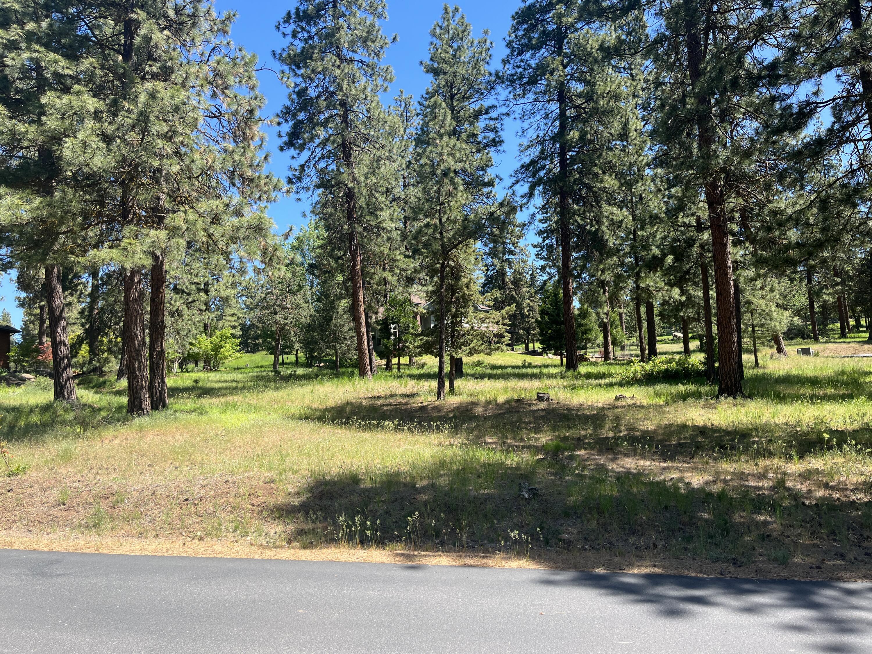 Merganser Road Lot 78