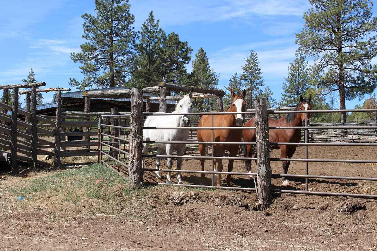 Sprague River - Farm