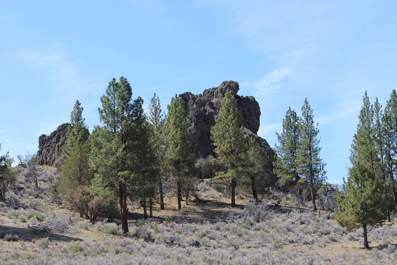 Sprague River - Farm