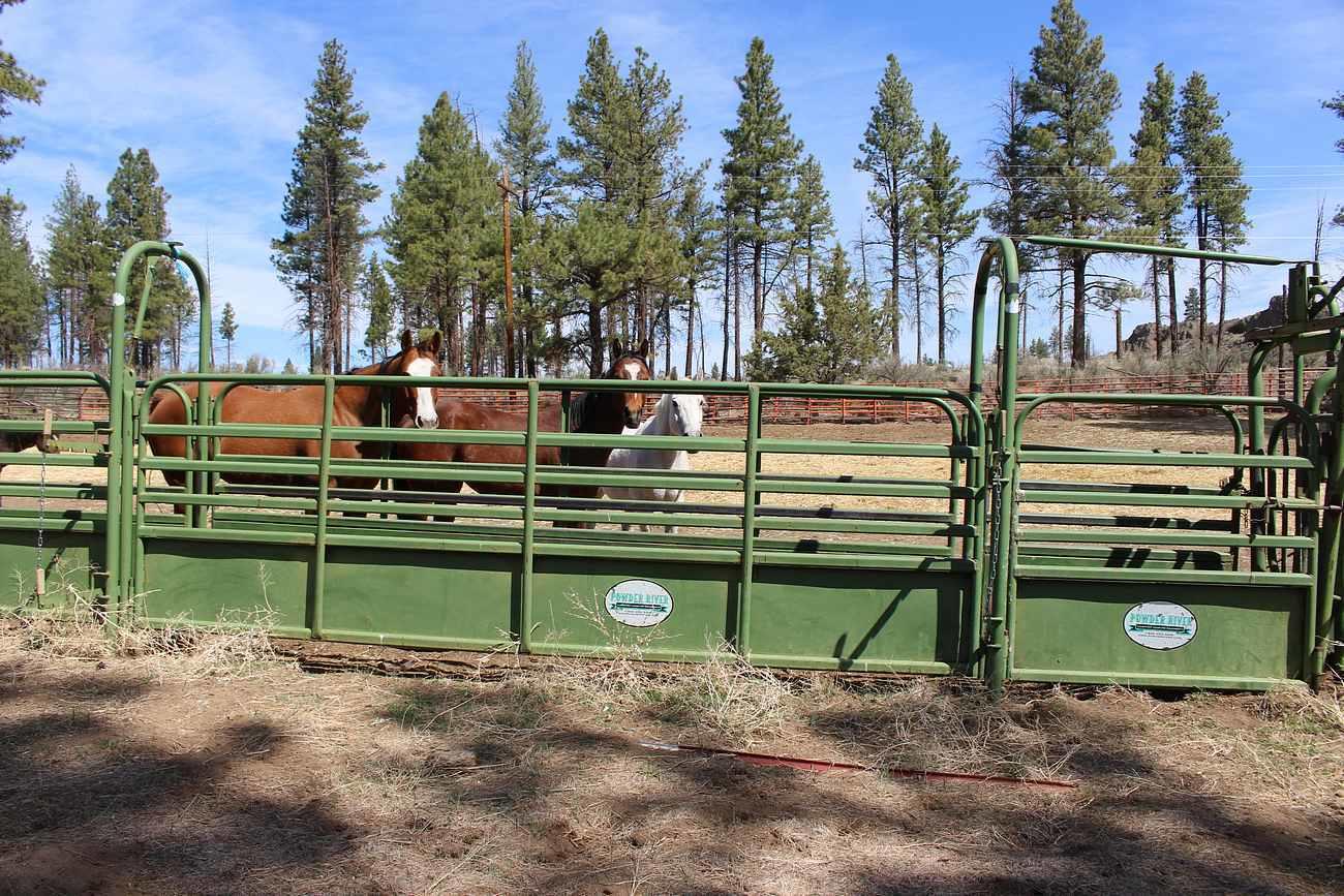Sprague River - Farm