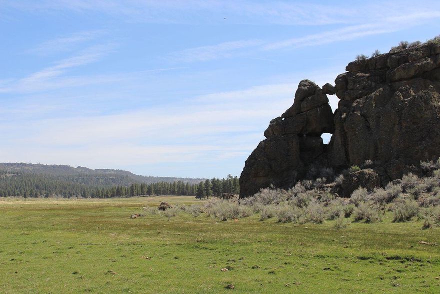 WESTERN MOVIE-LIKE SETTING on 655 acre ranch with huge rock formations, springs, meadows, pines and sage bordering USFS lands. Irrigation well and pump for 120 acres water rights!!!  Has produced native and productive improved pasture and grain hay. Included is a redwood sided, 2 bedroom, 2 bath, 2 story home with custom wood cabinets, counters and an attached garage, plus a 24x30' shop with 60'x30'equipment shed.  Juniper log and Powder River gates working chute, corrals for ease of cattle handling, plus a 54'x 60' hay barn and two 9' grain bins. If you are looking for an escape to large open spaces this could be your place!  This property will sustain 30 pair in good water years.  Irrigation well can be used for up to 2 days every two weeks as there is not enough water in the well to run more often.