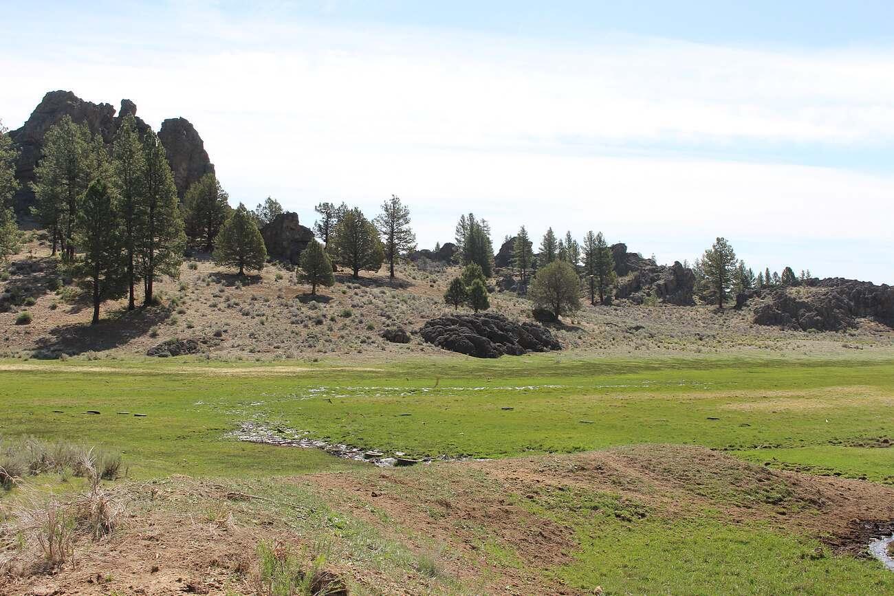 Sprague River - Farm