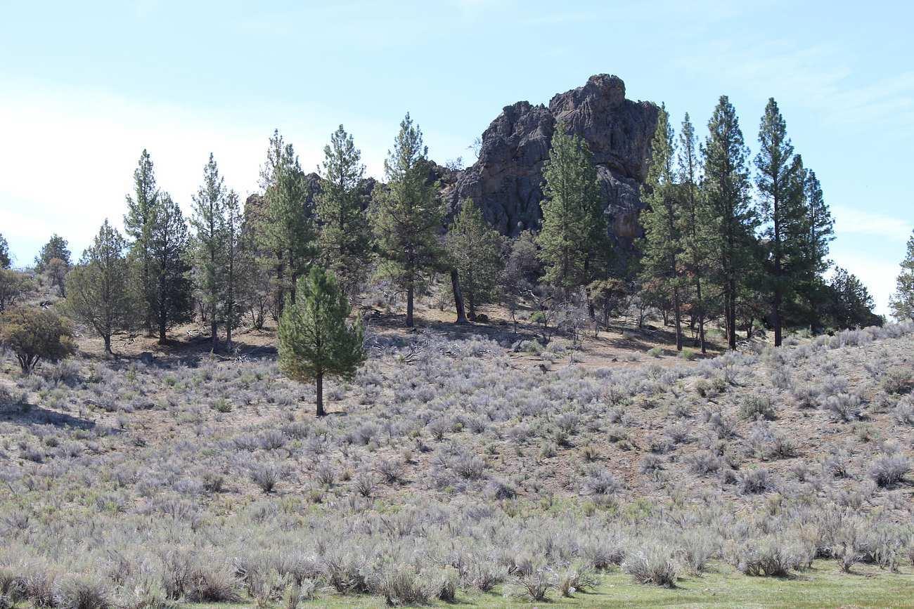 Sprague River - Farm