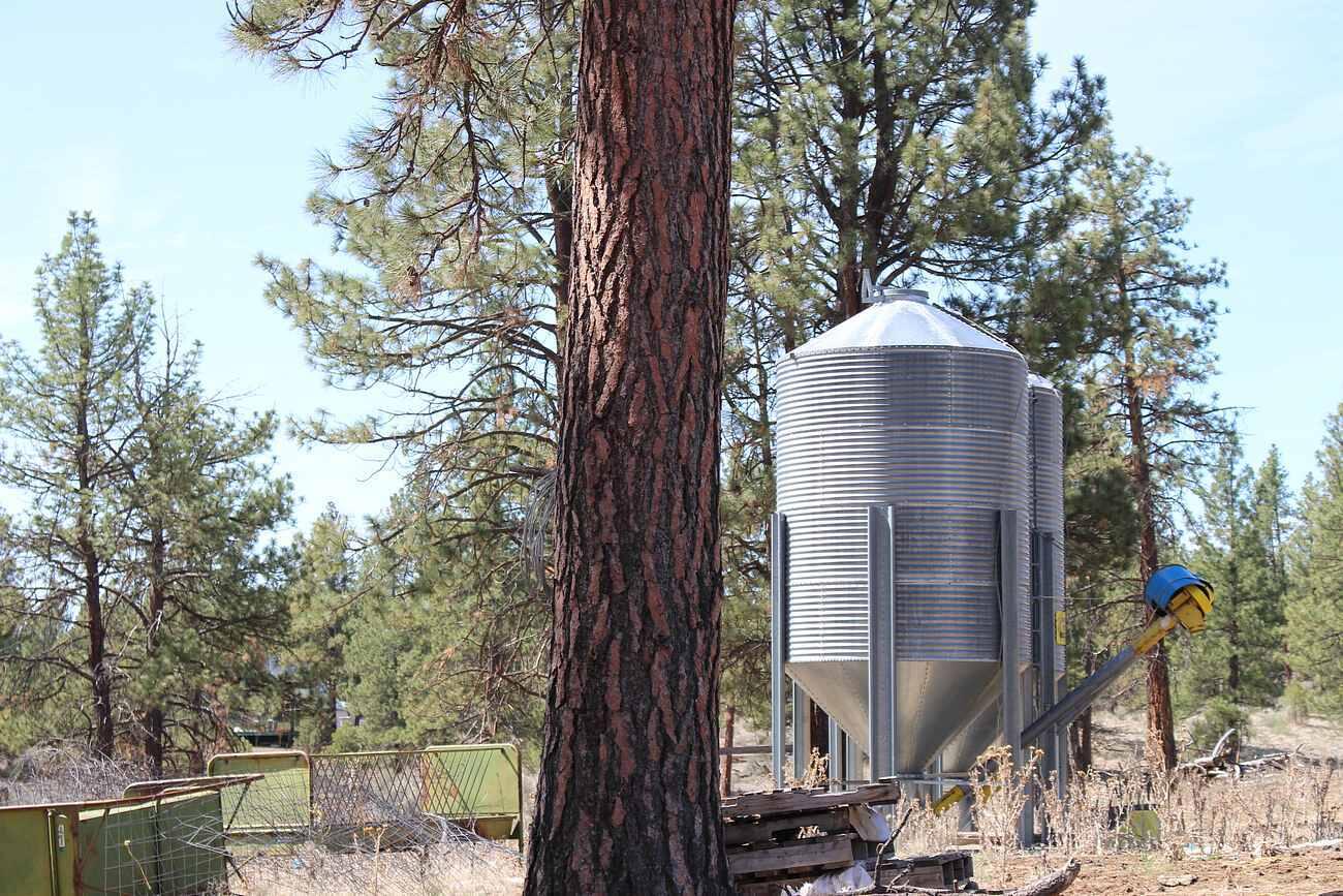 Sprague River - Farm