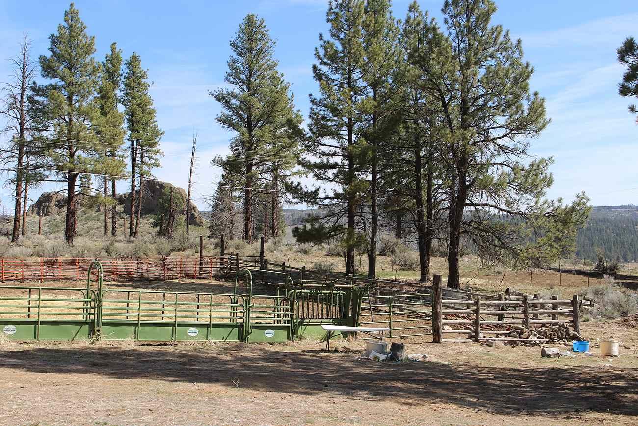 Sprague River - Farm