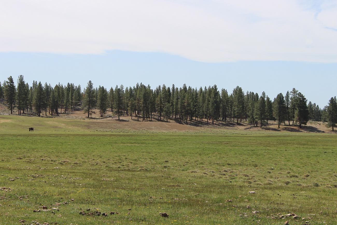 Sprague River - Farm