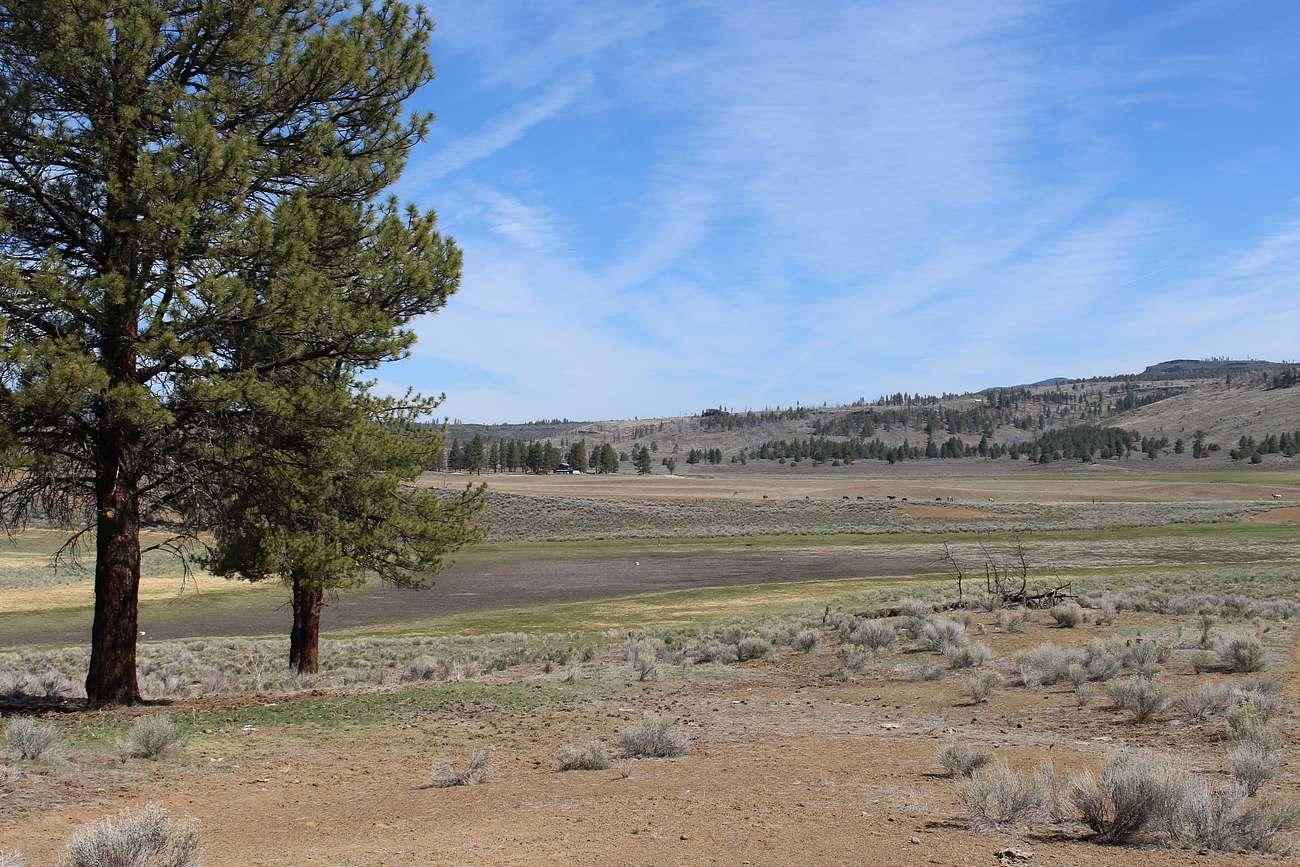 Sprague River - Farm