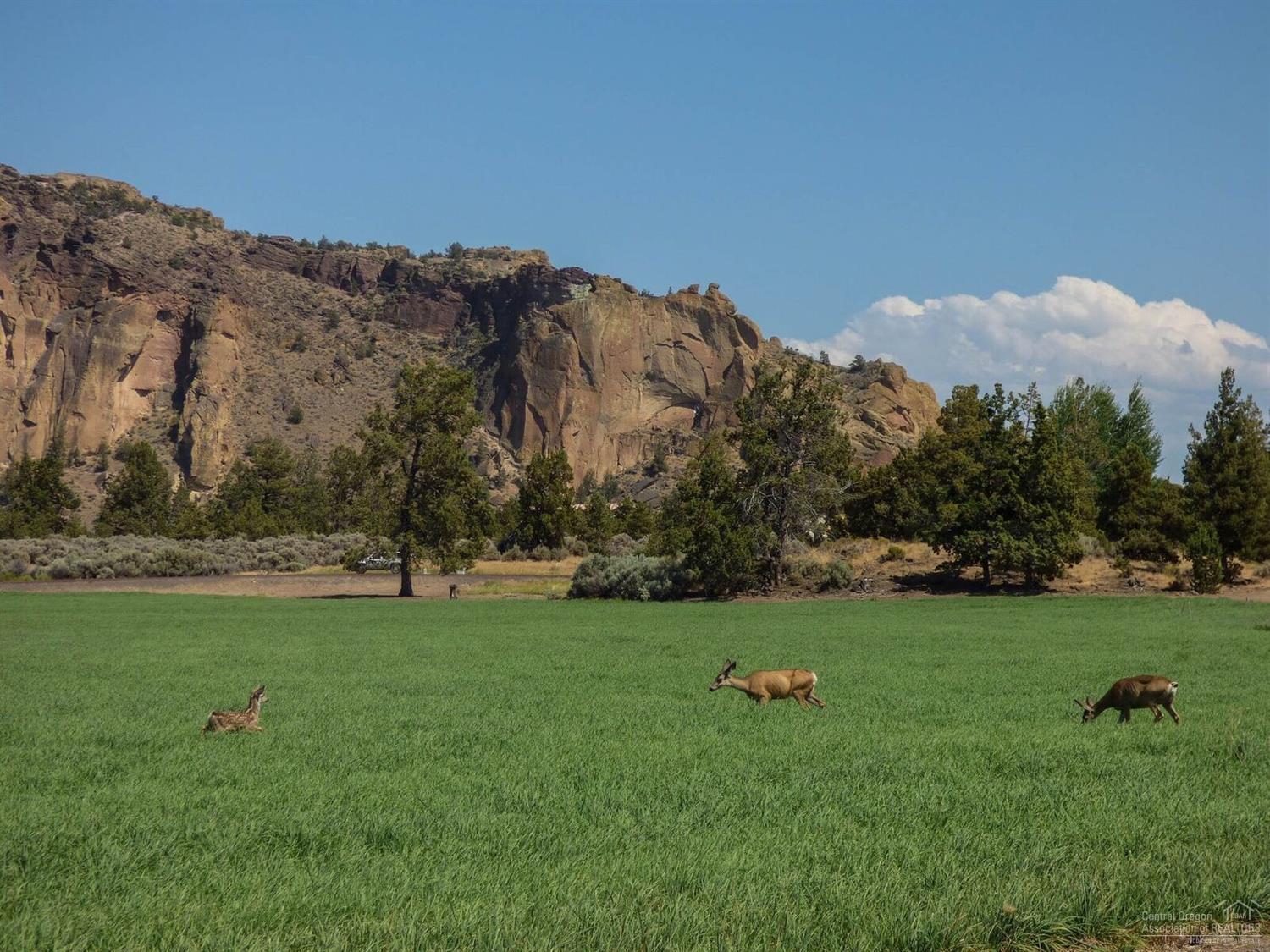 Ranch at the Canyons - Residential