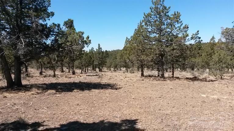 Ochoco Land + Livest - Land