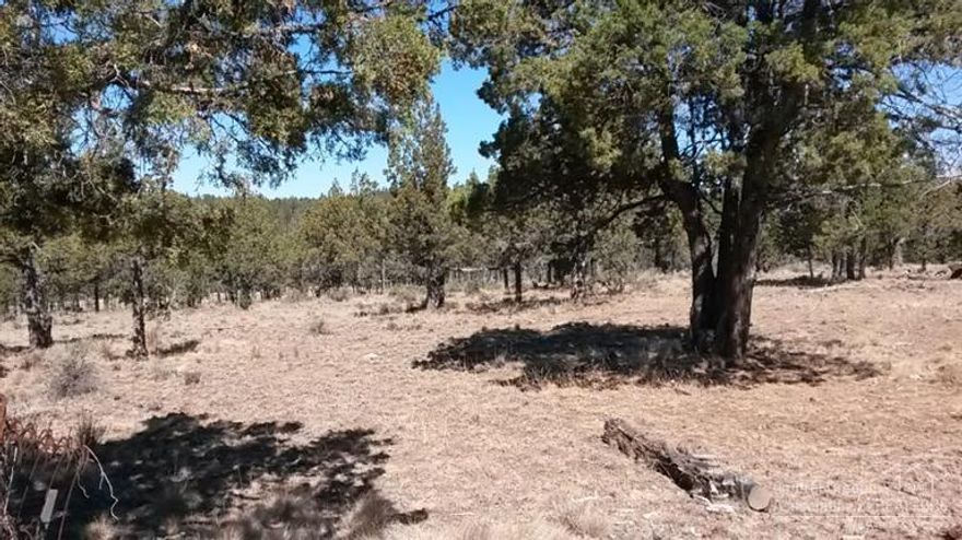 Secluded 5 acre parcel approximately 7 miles south of Prineville. Property is mostly flat with several trees. A conditional use permit will be needed for a residence to be built. Call for additional information and directions.
